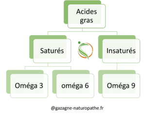 Classification des Acides Gras